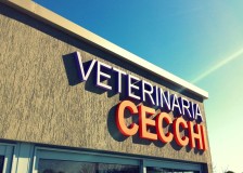 VETERINARIA CECCHI