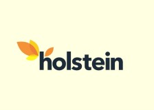 HOLSTEIN