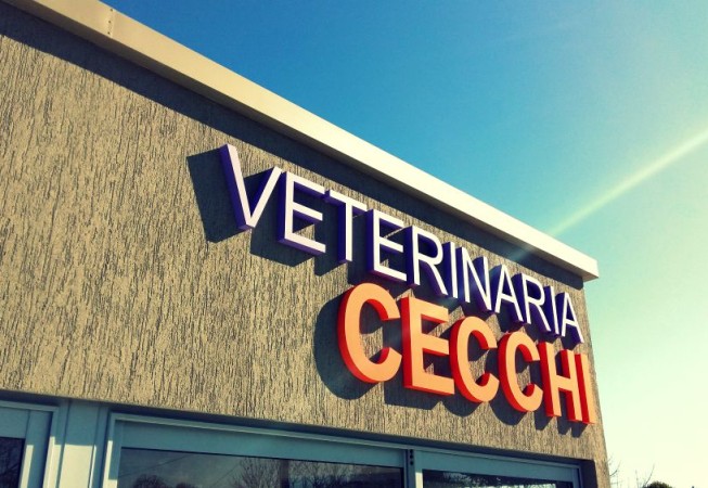 VETERINARIA CECCHI