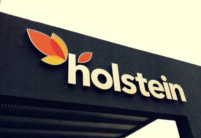 Holstein